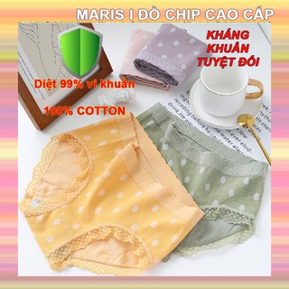 Quần chip nữ cotton KHÁNG KHUẨN, co dãn 4 chiều, họa tiết chấm bi siêu đẹp