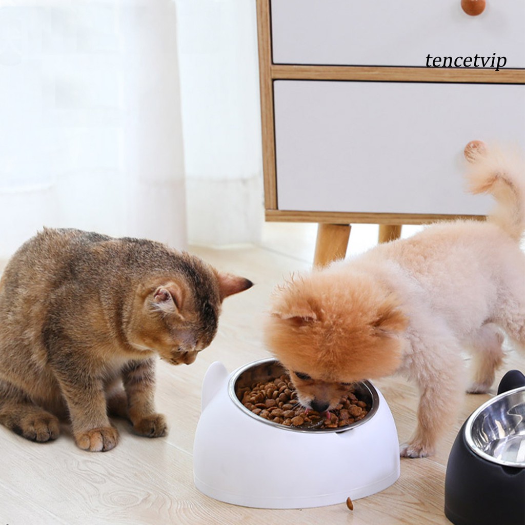 Bát Ăn Cho Mèo Chất Liệu Thép Không Gỉ