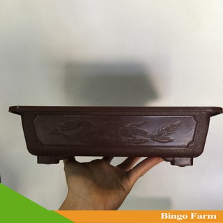 Chậu Bonsai chữ nhật 30