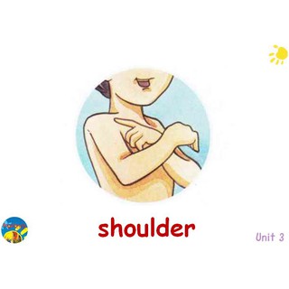 Flashcard Fingerprints 3