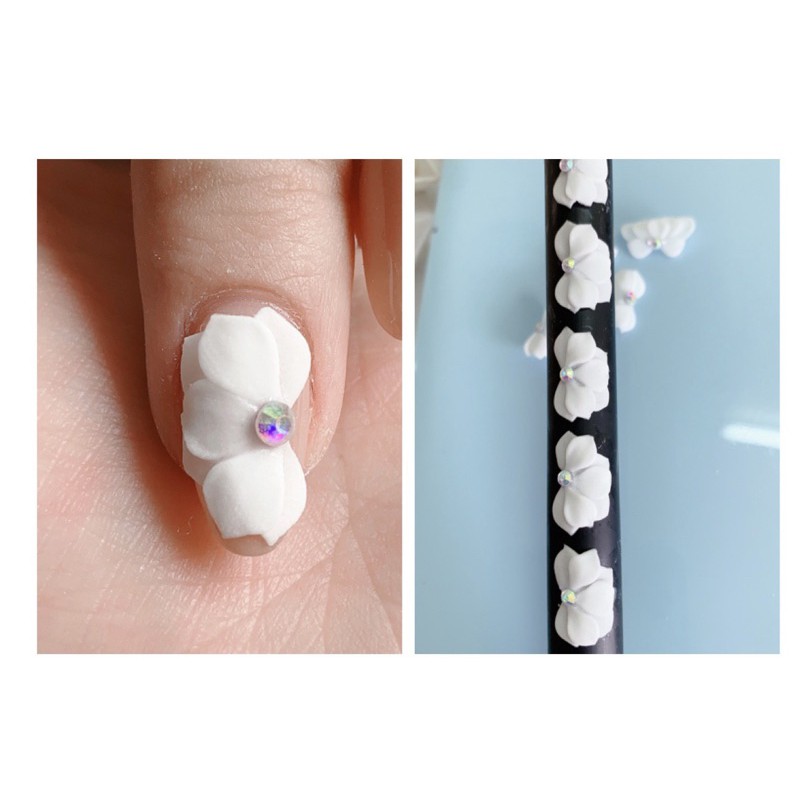 HOA BỘT NAIL| HOA CÁNH NHỌN