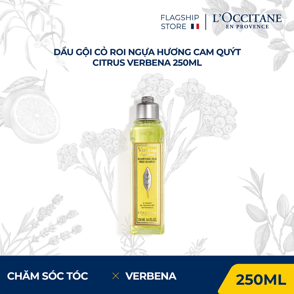 Dầu Gội Cỏ Roi Ngựa Verbena Shampoo 250ml - 500ml L'Occitane