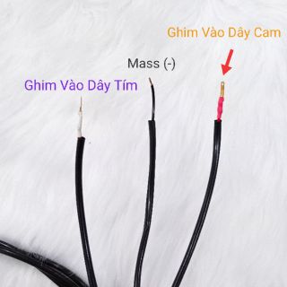 Mạch Passing 2S Cho Satria/Raider/Sonic | Nhiều Chế Độ (Passing 2s & Auto Passing)