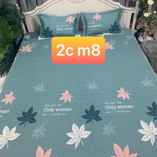 Set ga gối cotton trần