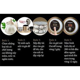 Nồi làm tỏi đen Tiross TS904
