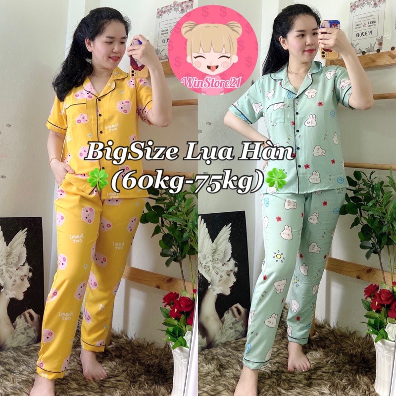 ( BigSize Lụa ) Đồ Bộ Pijama Lụa Hàn TNQD _ (60kg đến 75kg) | BigBuy360 - bigbuy360.vn