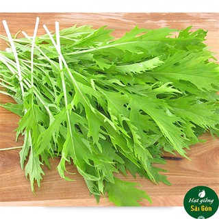 Hạt Giống Cải Đuôi Phụng