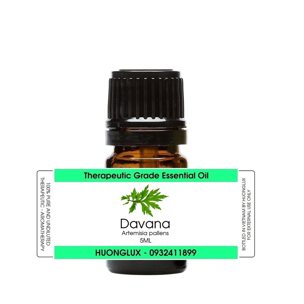 Tinh dầu Davana Essential Oil (Dhavanam)