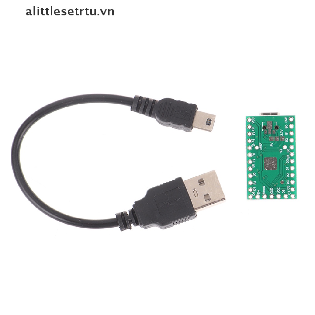 Bảng Mạch Phát Triển AVR USB 2.0 Dành Cho Thanh Thiếu Niên