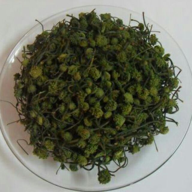 500g nụ hoa tam thất khô