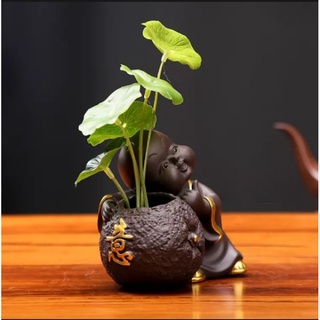 Chú tiểu và chậu cây . chú tiểu trồng cây