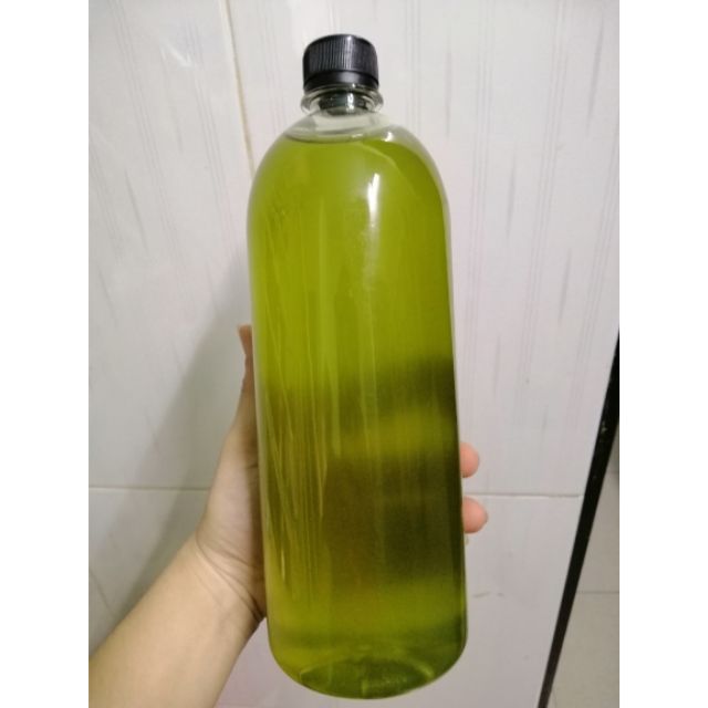 Mật ong hoa bạc hà 1 lít
