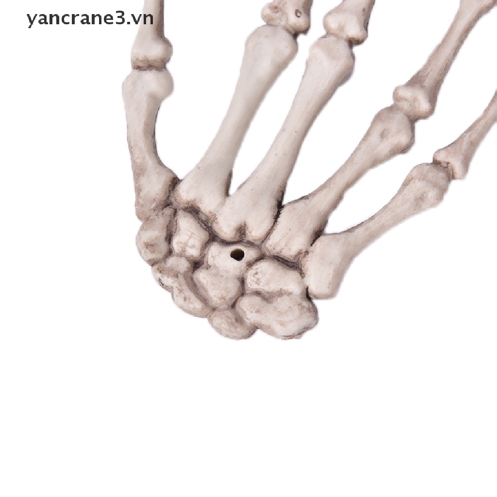 Bộ Xương Bàn Tay Hóa Trang Halloween Kinh Dị Dành Cho Người Lớn yancrane3.vn