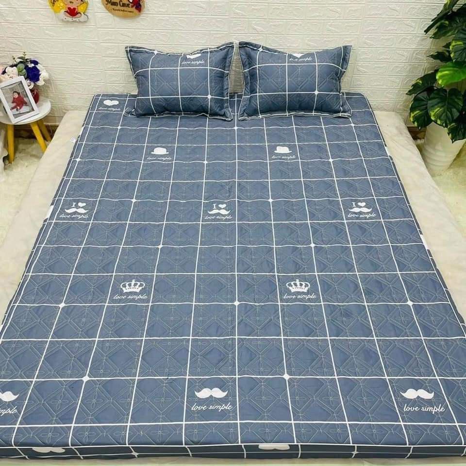 [FREE SHIP]Ga Chun Trần Bông Dày,Bọc đệm dày tối đa 15cm,vải cotton poly,chọn mẫu thoải mái/mẫu heo hồng nhí nhố