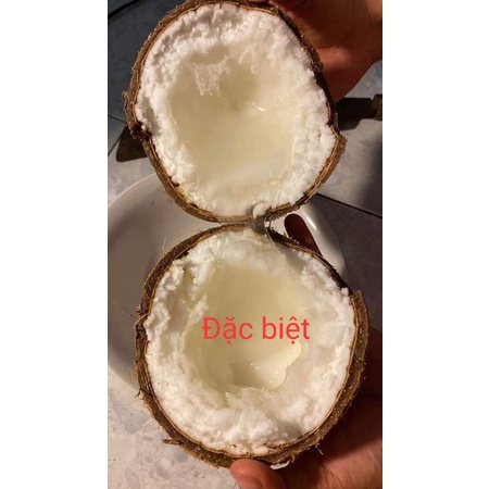 Dừa Sáp Cầu Kè Cơm Siêu Dày