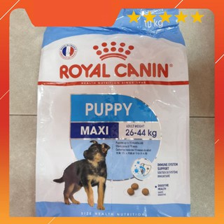 10kg maxi puppy