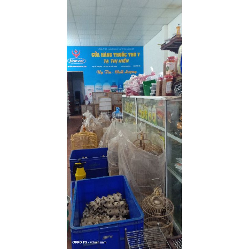 Áo lồng bẫy 1  mặt bằng vải dày đẹp cho lồng bẫy chào mào choè- áo lồng bẫy đẹp