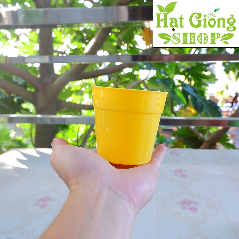 Chậu cây mini đang yêu - 9x8