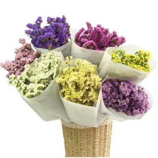 Hoa Khô Salem Trang Trí Decor Phòng Ngủ Bó 5 cành