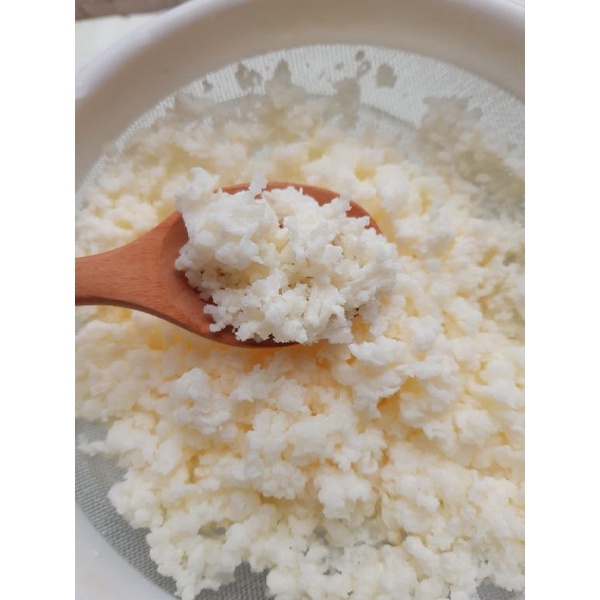 Nấm làm sữa chua kefir milk