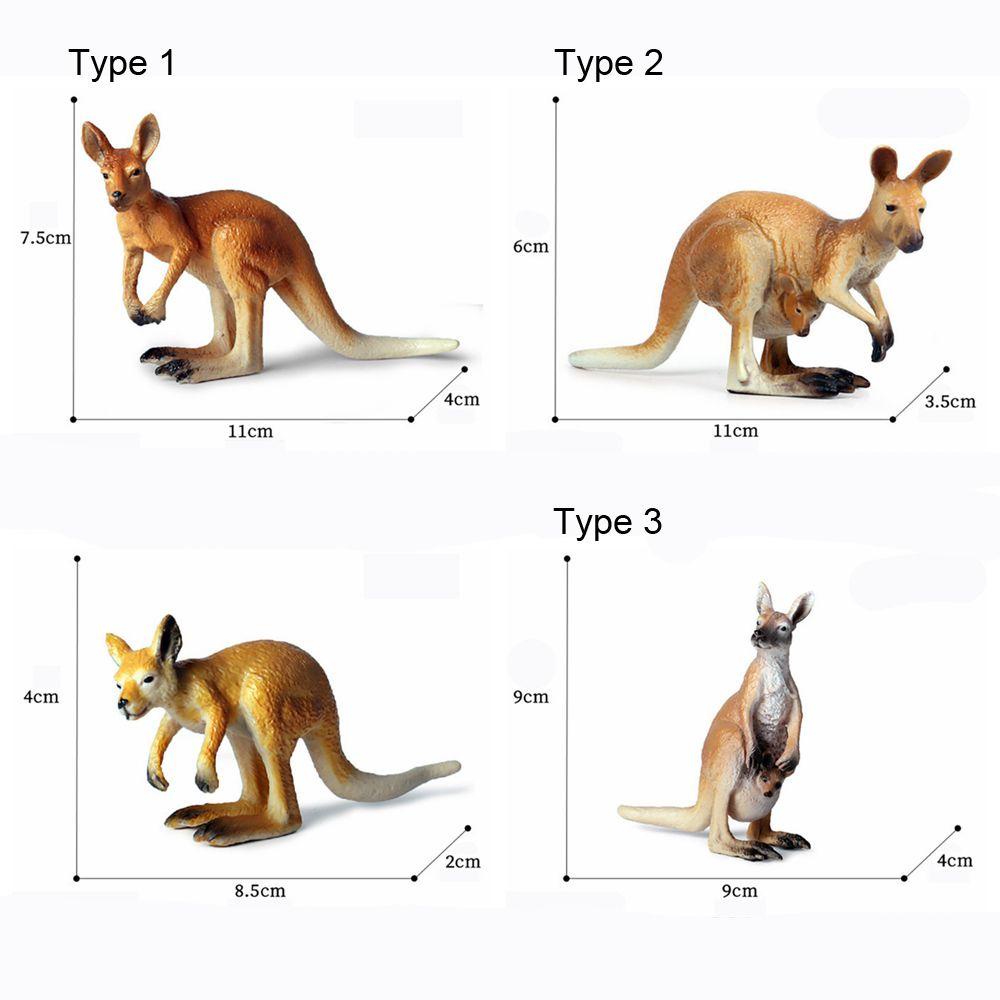 Mô Hình Kangaroo Đồ Chơi Giảng Dạy Khoa Học &amp; Động Vật Hoang Dã LAYOR1