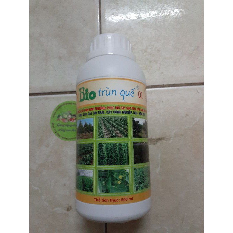 Dịch Trùn Quế Bio 01 (1 chai/500ml) Của Trung Tâm Công Nghệ Sinh Học