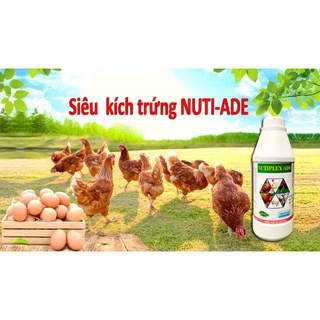 Siêu kích trứng dùng cho gà, vịt, cút đẻ NUTI-ADE