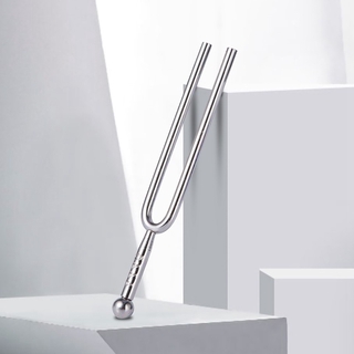 💖A Tuning Fork - "A" 440 Hz with Soft Shell Case