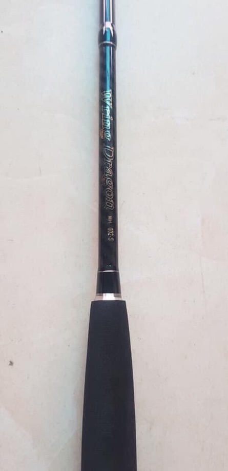 cần câu lure 2 khúc rỗng dài 2m4 có cả ngang có đứng cần cực khoẻ y hình