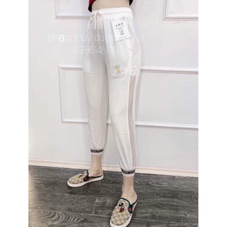 Quần đũi pha lưới bo gấu 65k