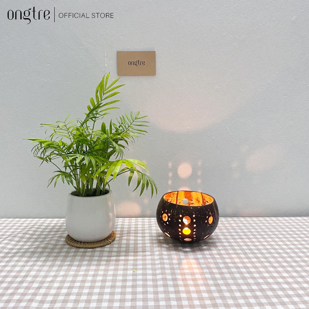 Chén gáo dừa đựng hành tỏi giúp bảo quản chống ẩm, mốc - ONGTRE