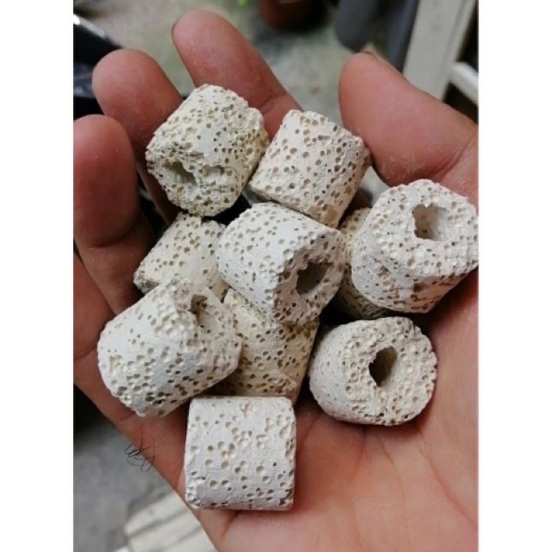 200 gram sứ nhẫn lọc nước hồ cá cảnh