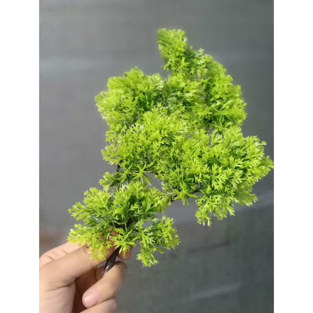 Cành Cây Tùng Nhựa Pvc Làm Cây Tùng Trang Trí