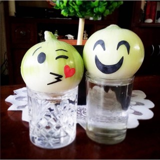 Hạt giống Củ hành tây LS