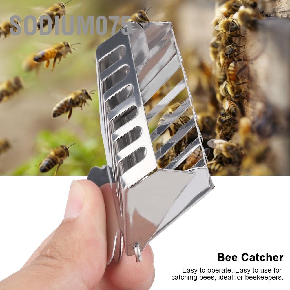 Sodium075 Stainless Steel Queen Bee Catcher Clip Cage Catching Tool for Beekeepers