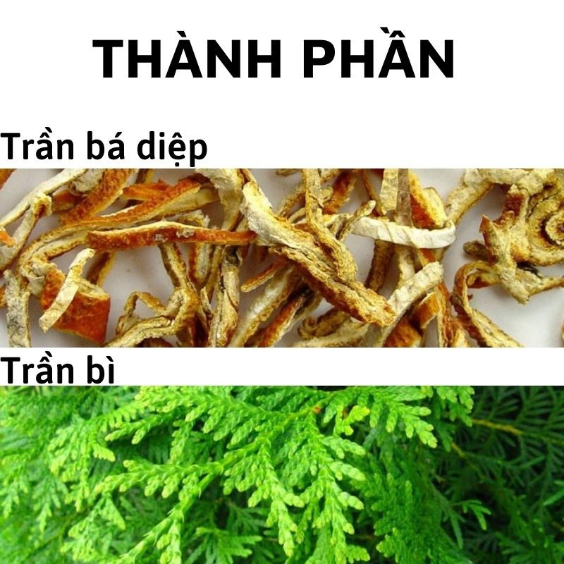 Thuốc mọc tóc Đông y gia truyền Thông Cát hiệu quả đến bất ngờ