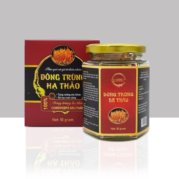 Nấm Đông Trùng Hạ Thảo LADOGA sấy thăng hoa đóng hộp 10g