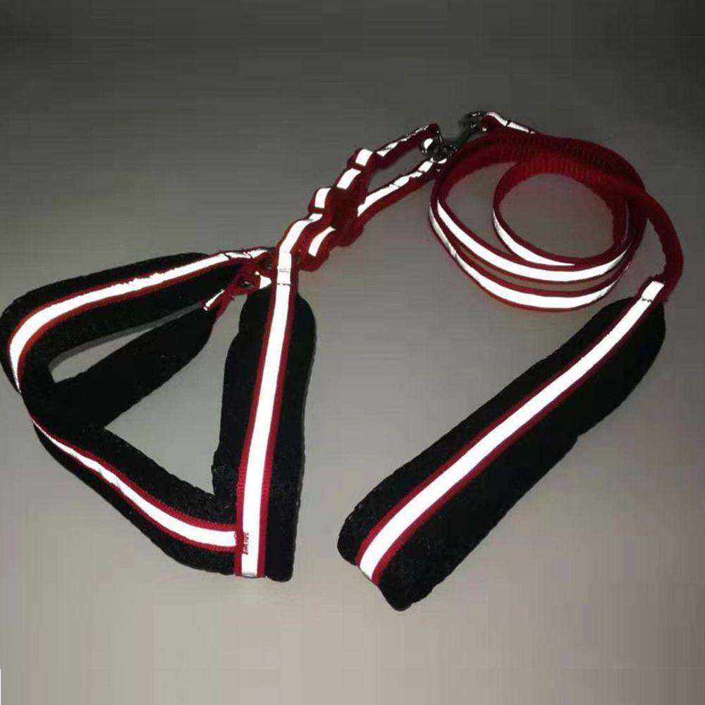 Đai Dắt Thú Cưng Phản Quang Tiện Dụng