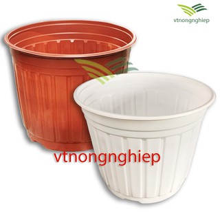 5 Chậu nhựa trồng Hoa CH-35x28 cm, chậu trồng cây size lớn, màu săc nâu đỏ và màu trắng.
