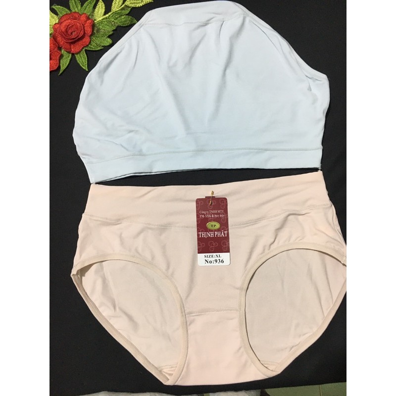 Set 10 Quần lót nữ Thịnh Phát thun lạnh, quần chíp nữ lưng cao