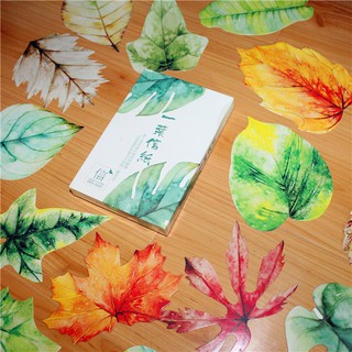 Bộ 30 postcard Nhất Diệp Tri Thu