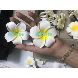 Combo kẹp hoa sứ size 7 cánh nhỏ 50b