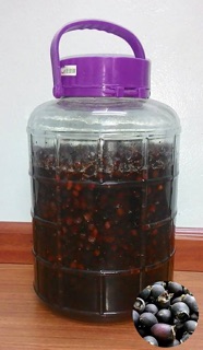 1kg Quả Sim Rừng Khô ( quả chín )