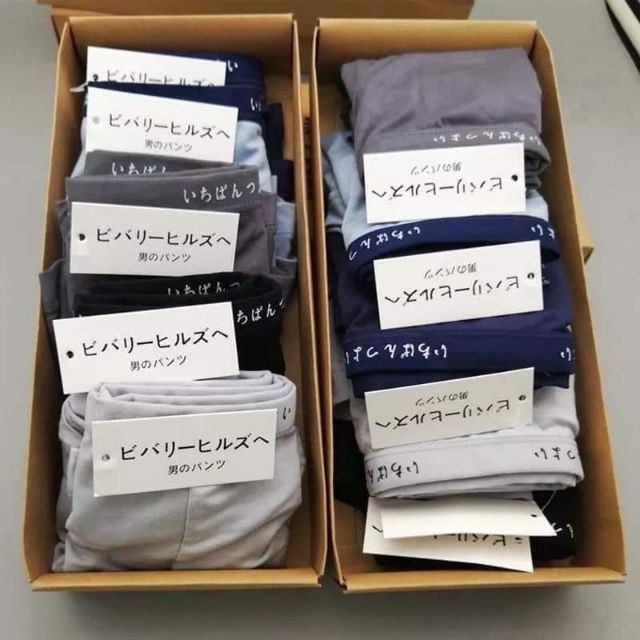 Quần Lót Nam, Quần Chip Đùi Nam Cotton Nhật Cao Cấp (vải thun 4 chiều co dãn cực mát)
