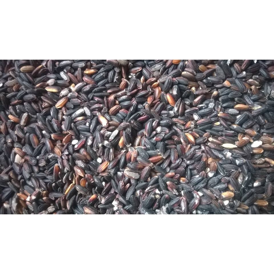 gạo nếp cẩm Tú Lệ 1 kg