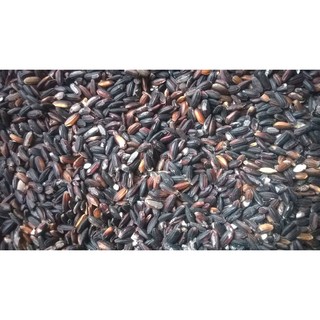 gạo nếp cẩm Tú Lệ 1 kg