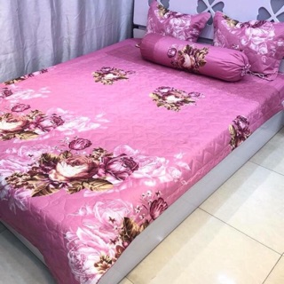 Set chăn ga gối poly trần bông 5 món