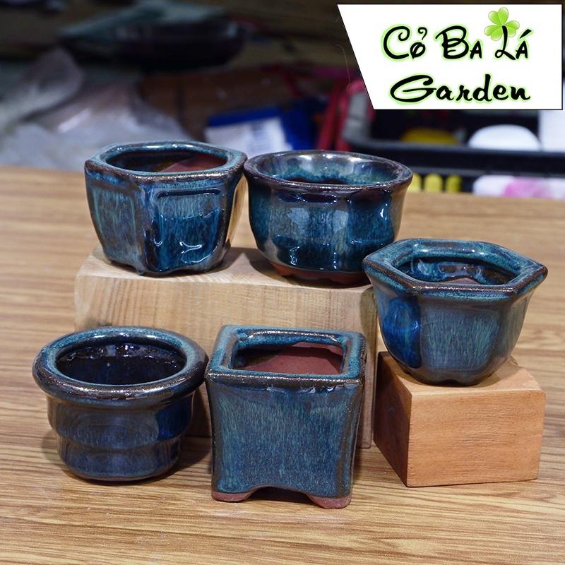 Chậu sứ mini 5x5 men hỏa biến , phù hợp trồng sen đá vỉ