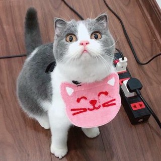 ❣️ Yếm đeo cổ dễ thương cho chó mèo