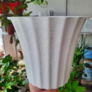 Chậu nhựa miệng loe 2 kích cỡ trồng cây